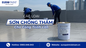 Các Loại Sơn Chống Thấm Cho Công Trình Lớn: Phân Loại Đầy Đủ Theo Ứng Dụng