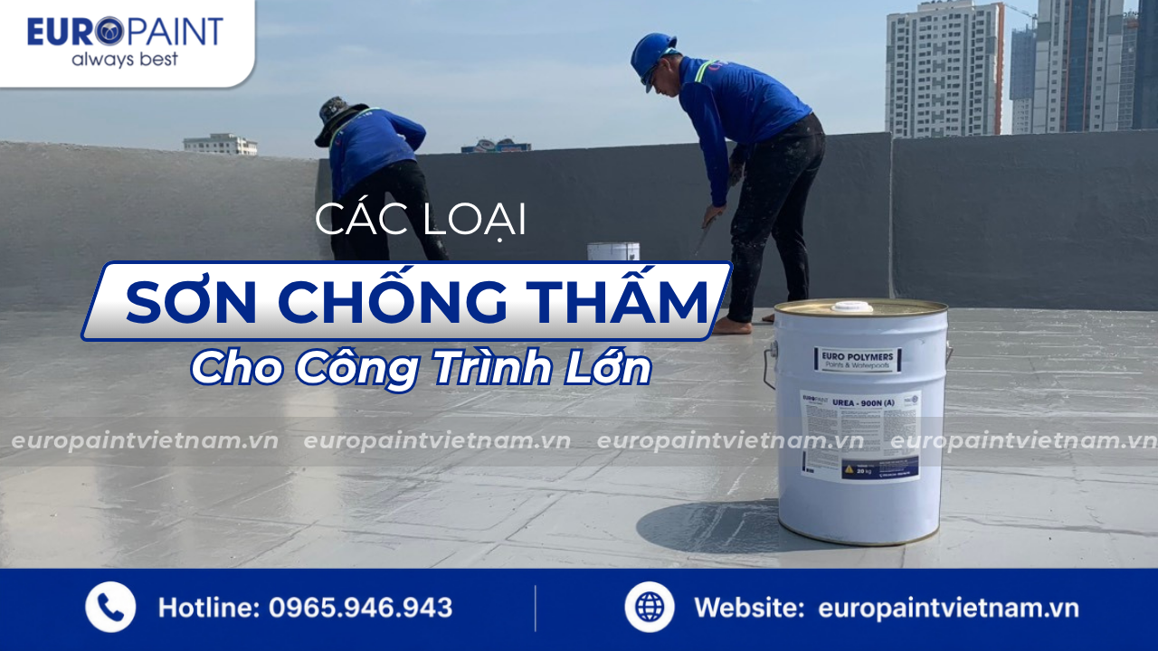 Các Loại Sơn Chống Thấm Cho Công Trình Lớn: Phân Loại Đầy Đủ Theo Ứng Dụng
