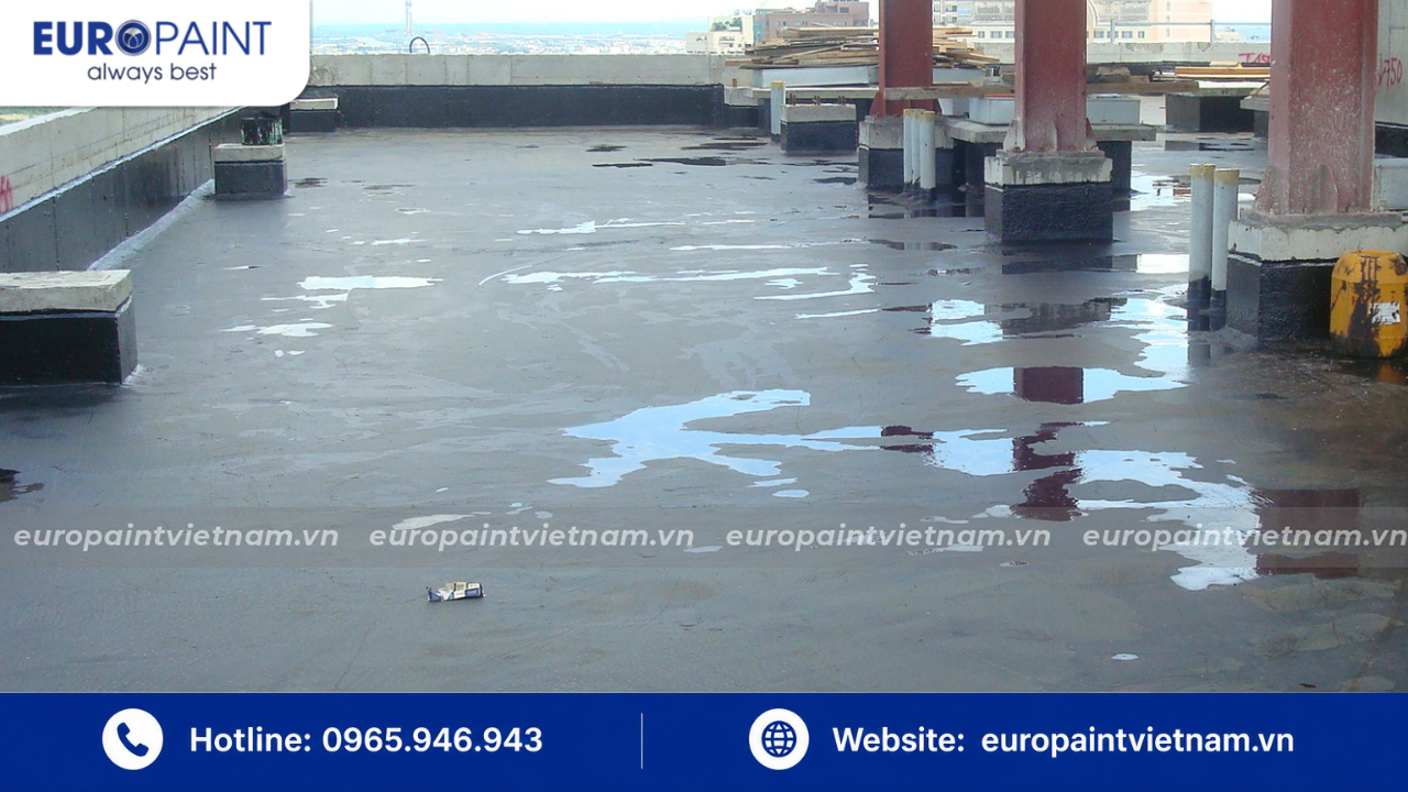 Tại Sao Nên Chọn Euro Paint Việt Nam Cho Giải Pháp Chống Thấm Sân Thượng Bền 20 Năm?
