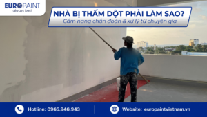 Nhà bị thấm dột phải làm sao? Cẩm nang chẩn đoán & xử lý từ chuyên gia
