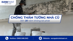 Chống thấm tường nhà cũ triệt để – Bền 20 năm không tái phát