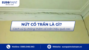 Nứt cổ trần là gì? Cách xử lý chống thấm cổ trần hiệu quả vượt trội