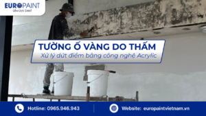 Tường ố vàng do thấm – Xử lý dứt điểm bằng công nghệ Acrylic