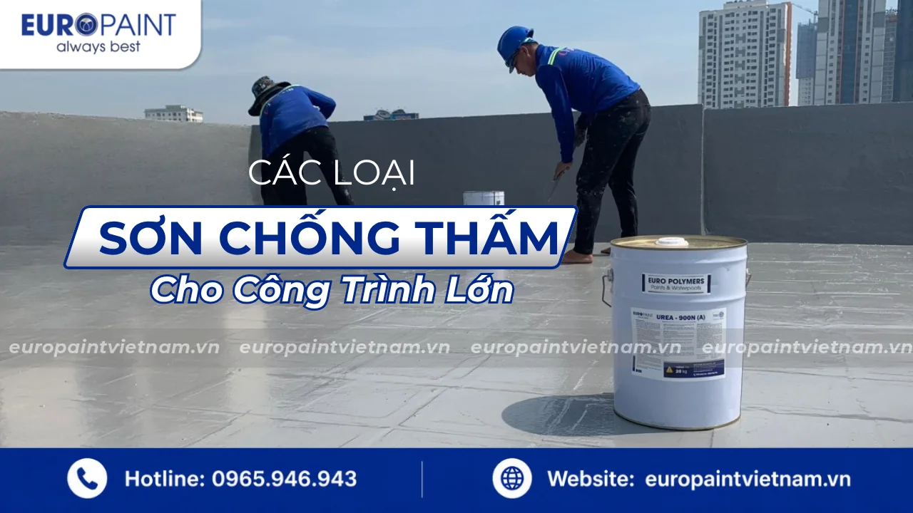 Các Loại Sơn Chống Thấm Cho Công Trình Lớn: Phân Loại Đầy Đủ Theo Ứng Dụng