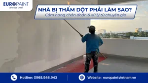 Nhà bị thấm dột phải làm sao? Cẩm nang chẩn đoán & xử lý từ chuyên gia