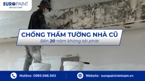Chống thấm tường nhà cũ triệt để – Bền 20 năm không tái phát