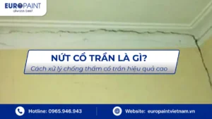 Nứt cổ trần là gì? Cách xử lý chống thấm cổ trần hiệu quả vượt trội
