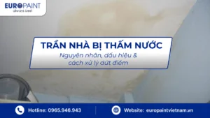 Trần nhà bị thấm nước – Nguyên nhân, dấu hiệu & cách xử lý dứt điểm